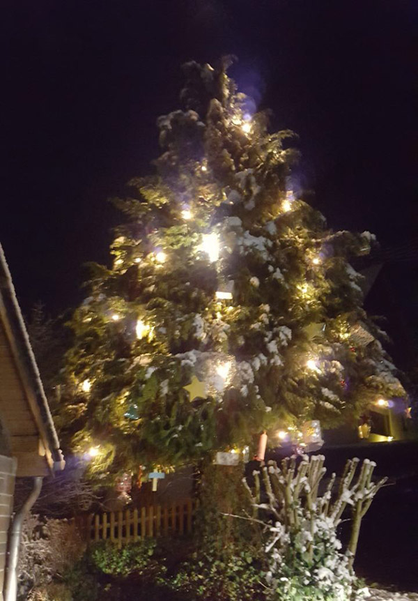 Weihnachtsbaum 2017
