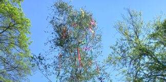 Maifest des Fördervereins der Freiwilligen Feuerwehr