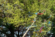 Maifest in Kroppach begeistert Besucher