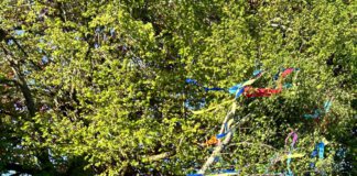 Maifest in Kroppach begeistert Besucher